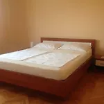 Sunny Jukic With Sea View Apartment Zadar