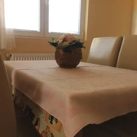 Apartment Sunny Jukic With Sea View Zadar